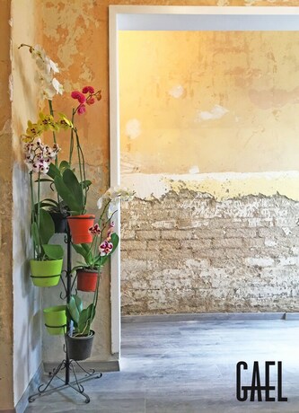 Imagen de los interiores del Hotel Gael Condesa - Hostel. Foto 30