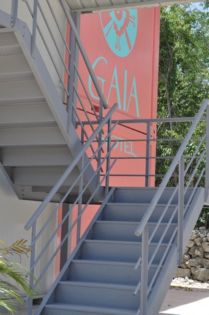 Imagen de los exteriores del Hotel Gaia. Foto 14