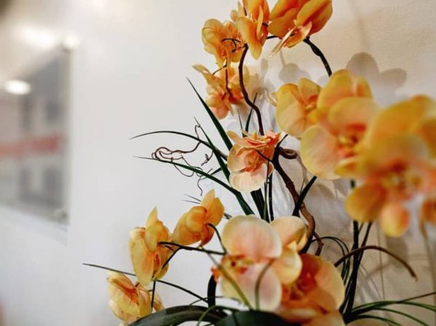 Imagen del bar/restaurante del Hotel Gainsborough House. Foto 4