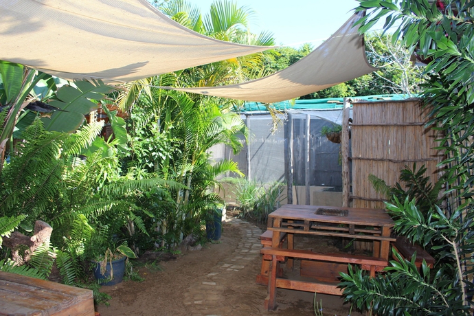 Imagen del bar/restaurante del Hotel Gala-Gala Eco Resort. Foto 7