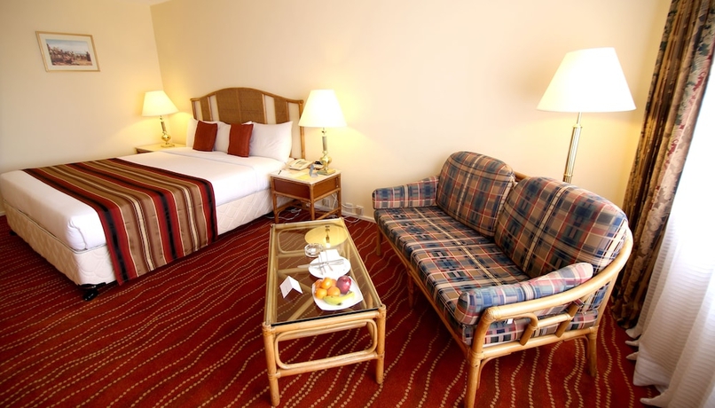 Imagen de la habitación del Hotel Galadari. Foto 10