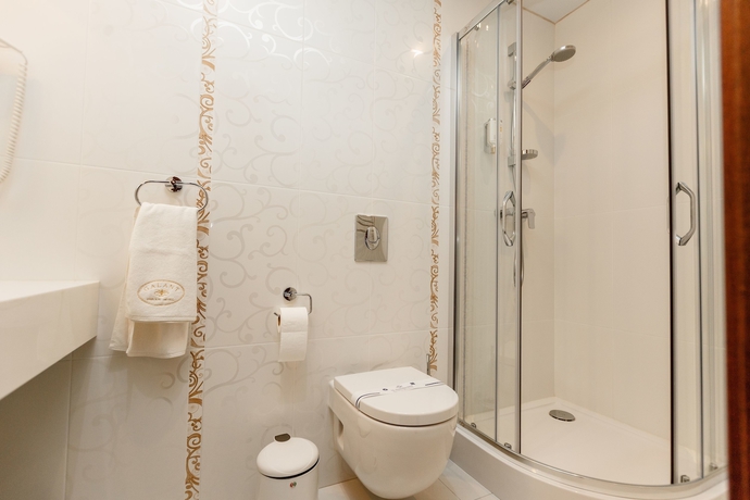 Imagen de la habitación del Hotel Galant, Truskavets. Foto 16