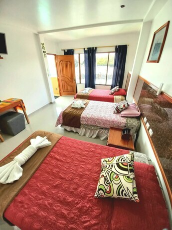 Imagen de la habitación del Hotel Galapagos Eco Friendly. Foto 18