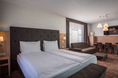 Imagen de la habitación del Hotel Galatea, Kosmonosy. Foto 16