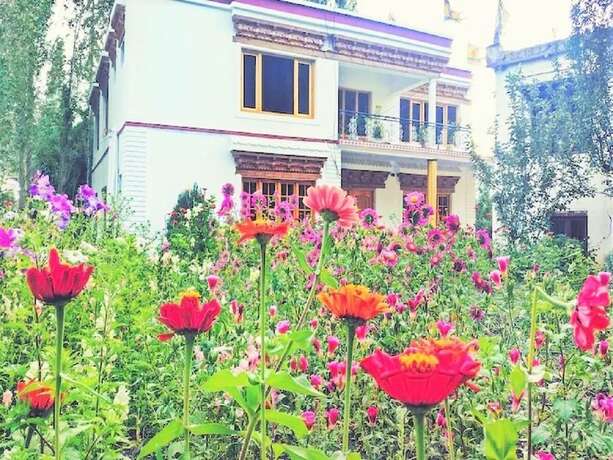 Imagen general del Hotel Galaxy Guest House. Foto 6