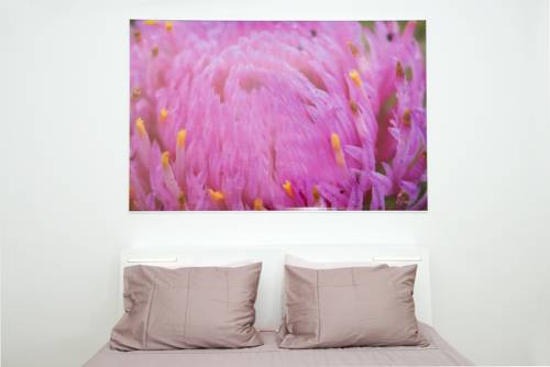 Imagen de la habitación del Hotel Galeria River. Foto 4