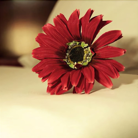 Imagen de los interiores del Hotel Galeria Suite. Foto 19