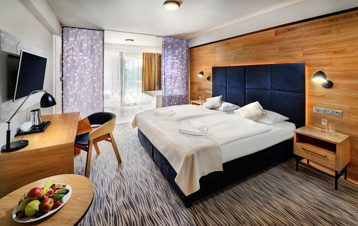 Imagen de la habitación del Hotel Galeria Thermal Bešeňová. Foto 10