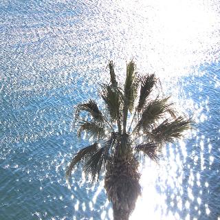 Imagen general del Hotel Galeria Valeria Seaside Downtown - Mag Quaint and Elegant Boutique. Foto 6