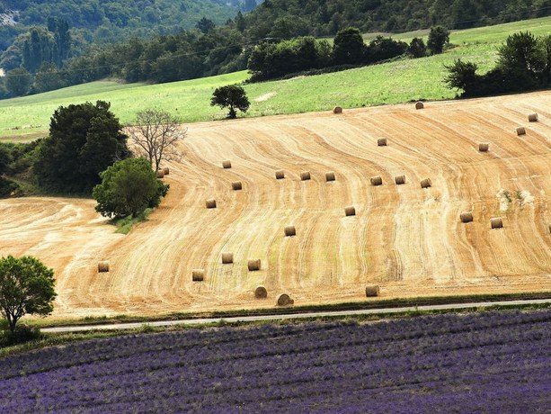 Imagen general del Hotel Galilee. Foto 3