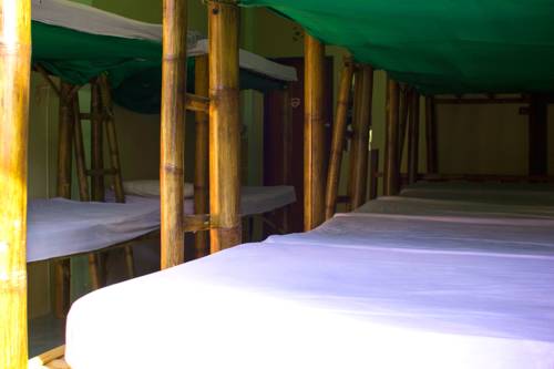 Imagen de la habitación del Hotel Gallery Dormitory. Foto 6