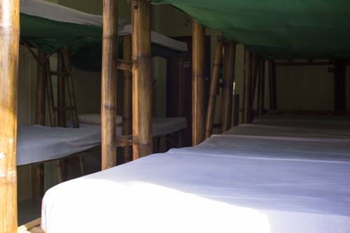 Imagen de la habitación del Hotel Gallery Dormitory. Foto 12