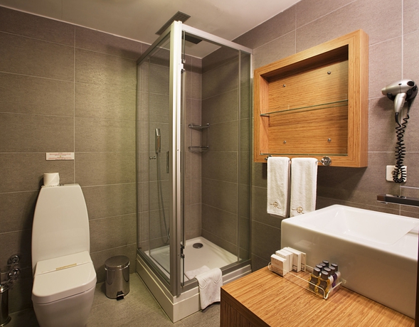 Imagen de la habitación del Hotel Gallery Residence and Boutique Hotel. Foto 5