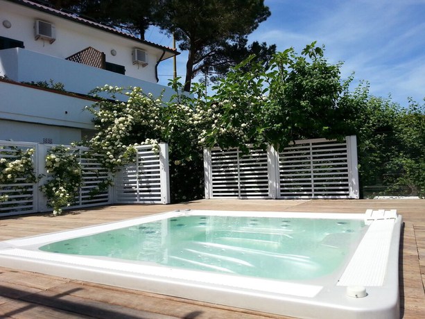 Imagen de la piscina del Hotel Gallo Nero. Foto 18