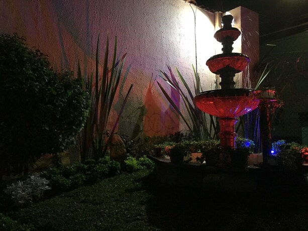 Imagen general del Hotel Gallo Rubio. Foto 5