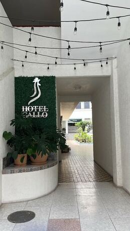 Imagen general del Hotel Gallo Rubio. Foto 7