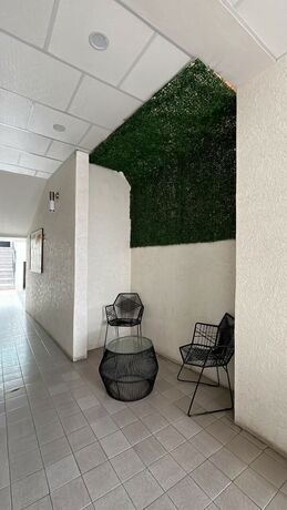 Imagen general del Hotel Gallo Rubio. Foto 16