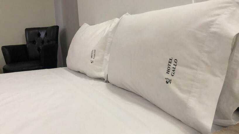 Imagen de la habitación del Hotel Gallo Rubio. Foto 20