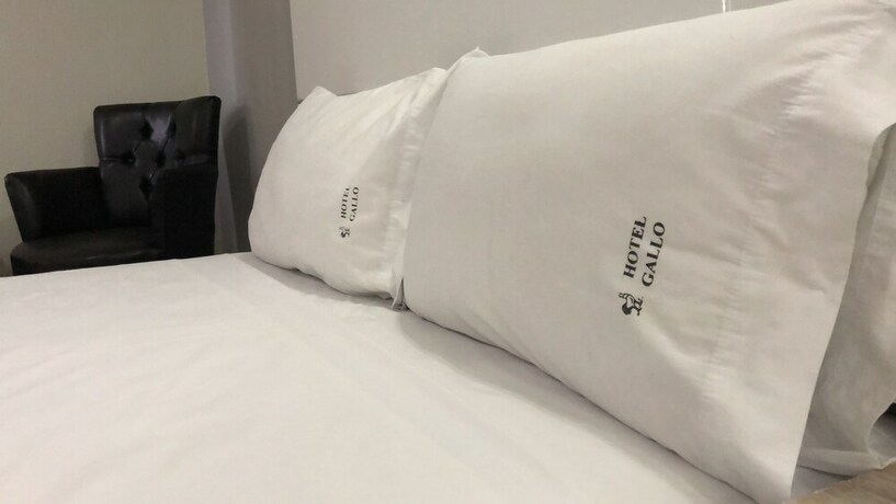 Imagen de la habitación del Hotel Gallo Rubio. Foto 21