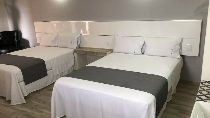 Imagen de la habitación del Hotel Gallo Rubio. Foto 23