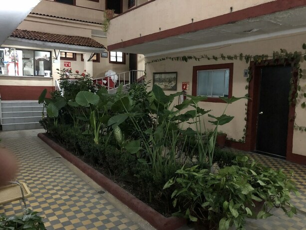 Imagen de los interiores del Hotel Gallo Rubio. Foto 29