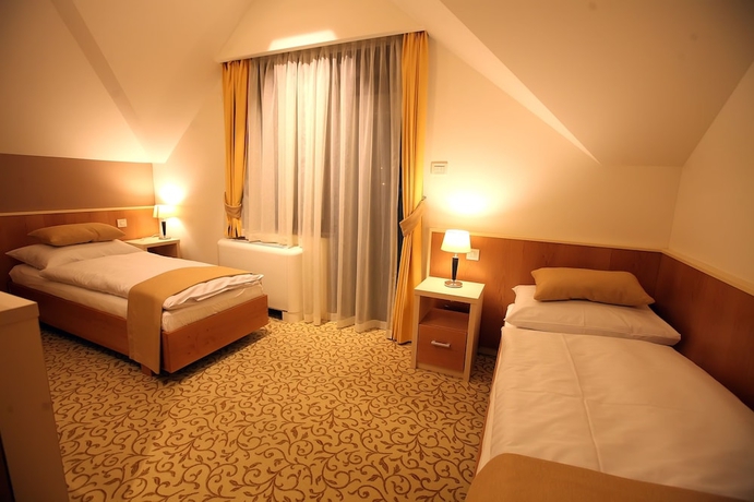 Imagen de la habitación del Hotel Gallus. Foto 11
