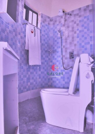 Imagen de la habitación del Hotel Galore Luxury Resort. Foto 7