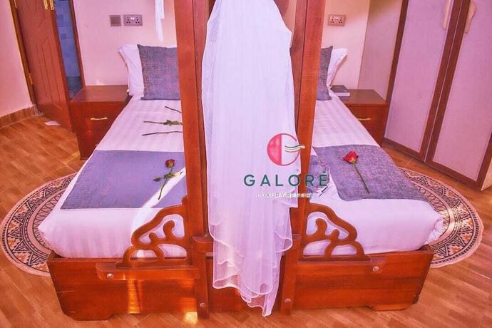 Imagen de la habitación del Hotel Galore Luxury Resort. Foto 10