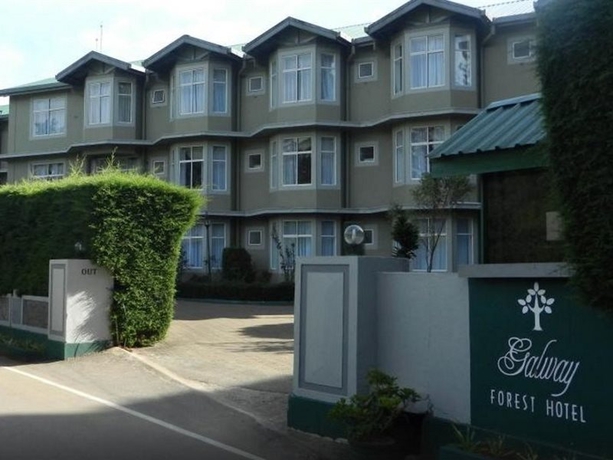 Imagen general del Hotel Galway Forest Lodge. Foto 7