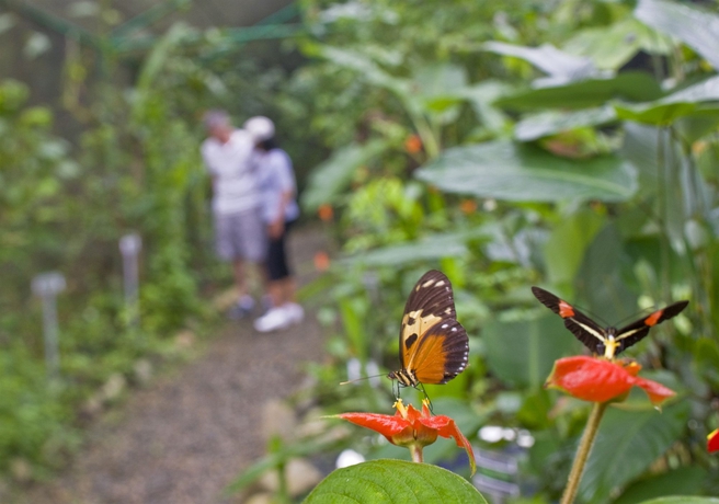Imagen de los exteriores del Hotel Gamboa Rainforest Reserve. Foto 5
