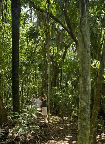 Imagen de los exteriores del Hotel Gamboa Rainforest Reserve. Foto 6