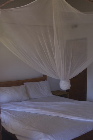 Imagen de la habitación del Hotel Gamboozini Lodge. Foto 2