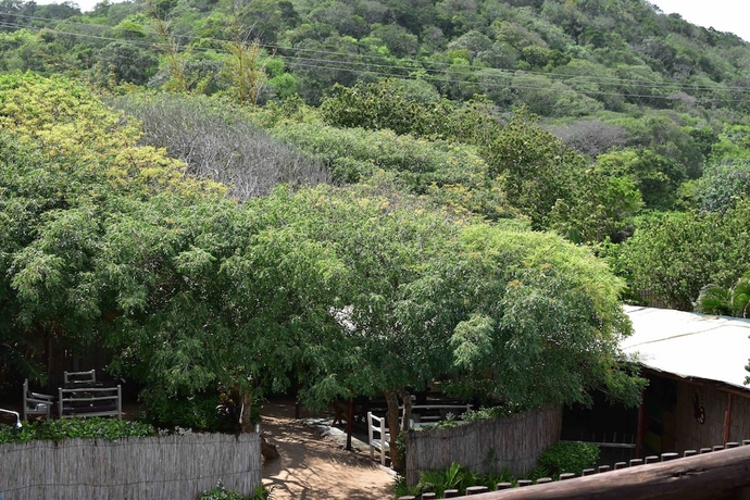 Imagen de la habitación del Hotel Gamboozini Lodge. Foto 16
