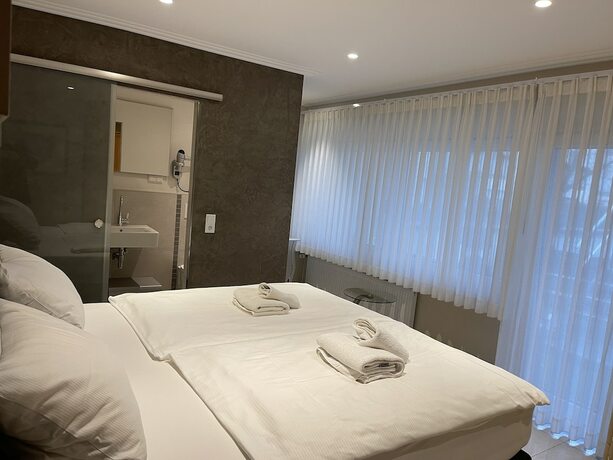 Imagen general del Hotel Gambrinus Arnsberg. Foto 7