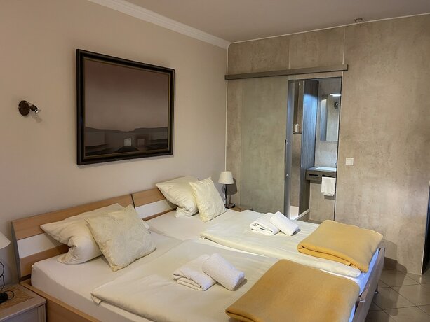 Imagen general del Hotel Gambrinus Arnsberg. Foto 9