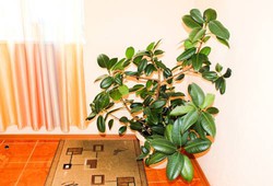 Imagen general del Hotel Gamma Hotel. Foto 3