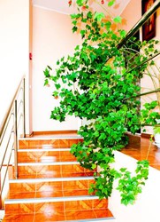 Imagen general del Hotel Gamma Hotel. Foto 4