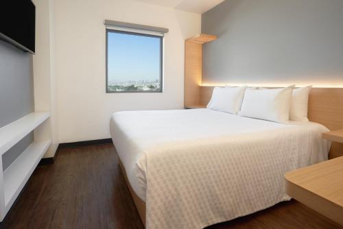 Imagen de la habitación del Hotel Gamma Toluca Oriente. Foto 8