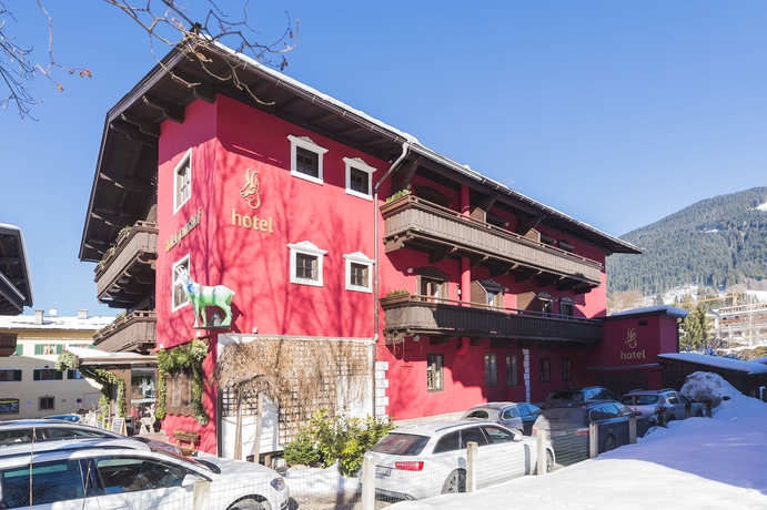 Imagen general del Hotel Gamshof. Foto 3