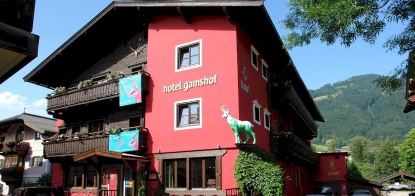 Imagen de los exteriores del Hotel Gamshof. Foto 9