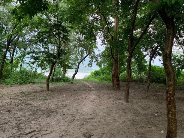 Imagen de los exteriores del Hotel Ganga Yog Retreat by Yog Gurukul. Foto 9