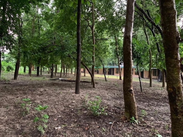 Imagen de los exteriores del Hotel Ganga Yog Retreat by Yog Gurukul. Foto 11