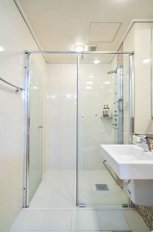 Imagen general del Hotel Gangnam Metro Platinum. Foto 3