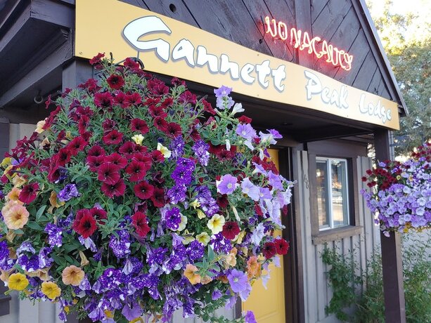 Imagen general del Hotel Gannett Peak Lodge. Foto 12