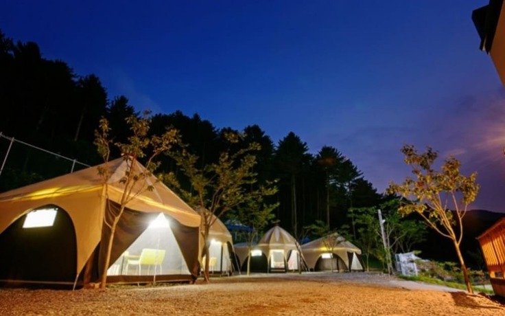 Imagen de la habitación del Hotel Gapyeong Animal Caravan Pension. Foto 17