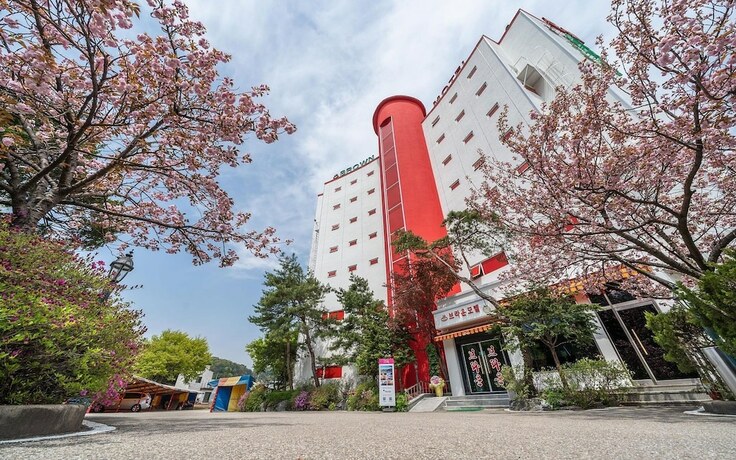 Imagen general del Hotel Gapyeong Brown. Foto 6