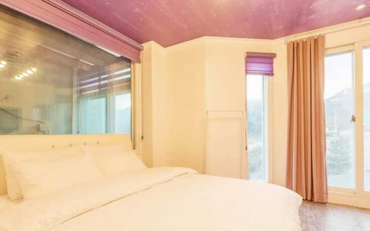 Imagen general del Hotel Gapyeong Roman Pension. Foto 2