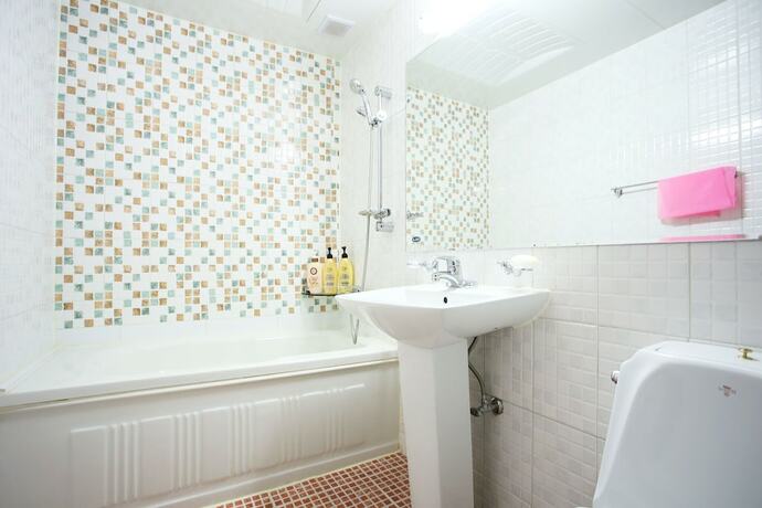 Imagen general del Hotel Gapyeong Theme. Foto 2