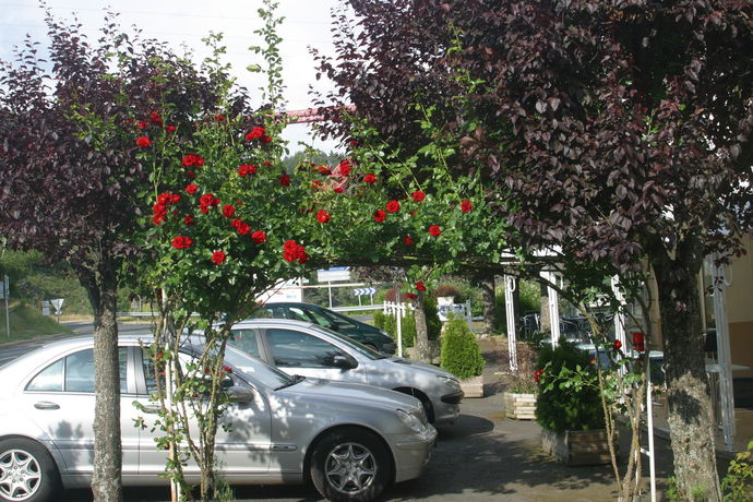 Imagen de los exteriores del Hotel Garabit. Foto 5