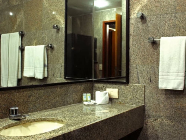 Imagen de la habitación del Hotel Garden Campina Grande. Foto 10